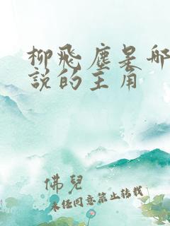 柳飞尘是哪部小说的主角