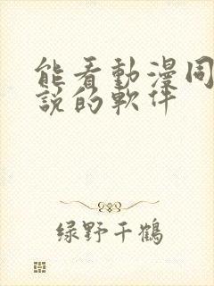 能看动漫同人小说的软件