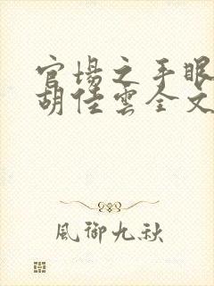 官场之手眼通天胡佳云全文在线阅读