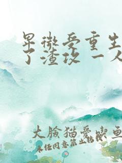 卑微受重生后成了渣攻 一人路过