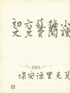 初六苏梅小说全文免费阅读