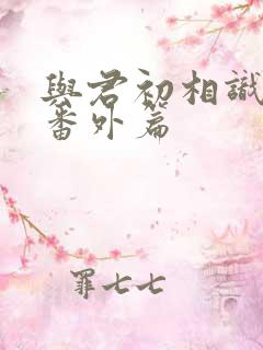 与君初相识小说番外篇