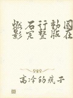 燃石行动国语电影完整版在线观看