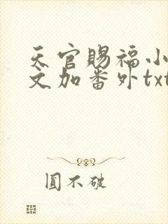 天官赐福小说全文加番外txt