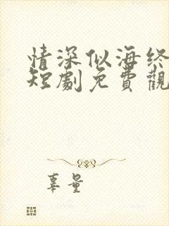 情深似海终成空短剧免费观看全集大结局