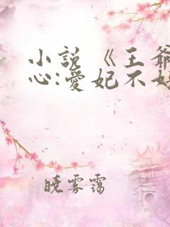 小说 《王爷当心:爱妃不好惹》