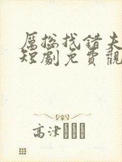 厉总找错夫人了短剧免费观看