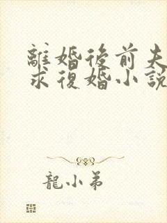 离婚后前夫哭着求复婚小说免费全本阅读