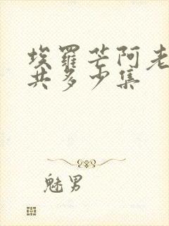 埃罗芒阿老师一共多少集