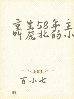 重生58年主角叫庞北的小说