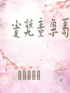 小说主角夏天大夏九皇子司马兰