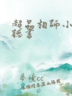 超品相师小说 听书