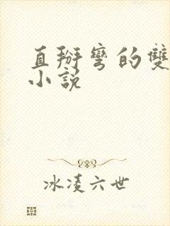 直掰弯的双男主小说