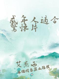 成年人适合看的惊悚片