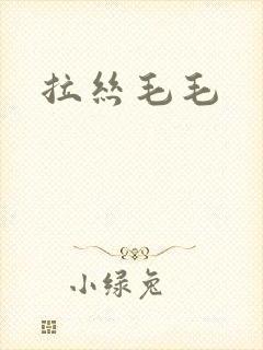 拉丝毛毛