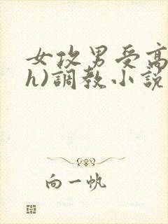 女攻男受高h(h)调教小说