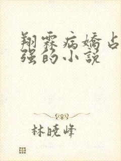 翔霖病娇占有欲强的小说