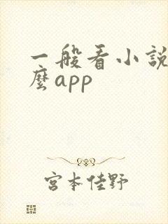 一般看小说用什么app