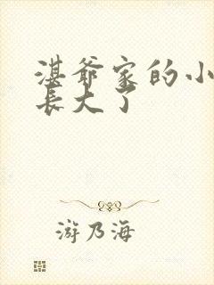 湛爷家的小妖精长大了