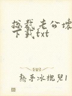 总裁老公坏又甜下载txt