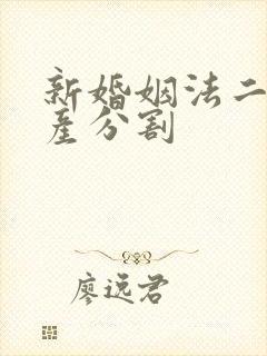 新婚姻法二婚财产分割