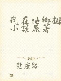 我在他乡挺好的小说原著