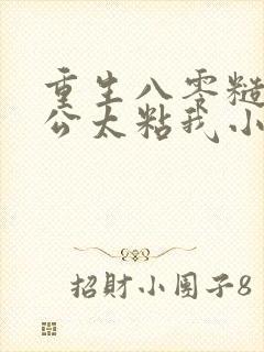 重生八零糙汉老公太粘我小说无弹窗