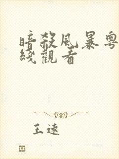 暗杀风暴粤语在线观看