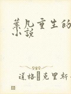 叶凡重生的都市小说