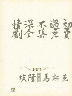 情深不过初见短剧全集免费观看