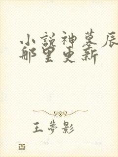 小说神墓辰东在那里更新