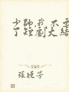 少帅,我不要你了短剧大结局
