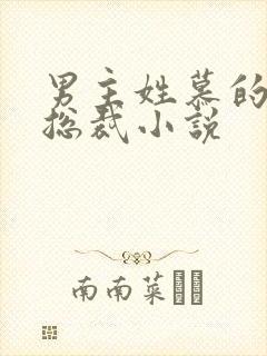 男主姓慕的所有总裁小说