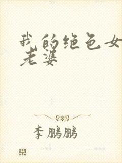 我的绝色女总裁老婆