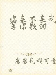 你来不来我都在等你歌词