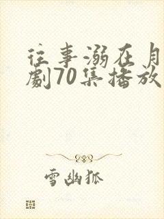 往事溺在月光短剧70集播放