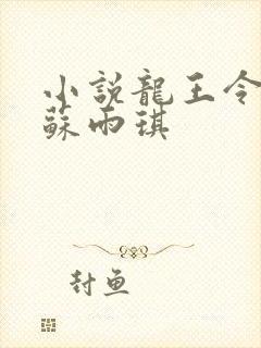 小说龙王令陈平苏雨琪