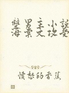 双男主小说高干海棠文攻受