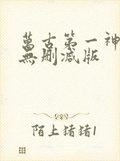 万古第一神小说无删减版