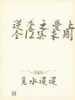 逆袭之爱上情敌全12集未删减