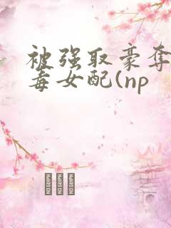 被强取豪夺的恶毒女配(np