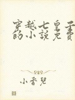 穿越七皇子赵开的小说免费阅读