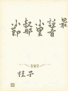 小叔小说最新章节哪里看