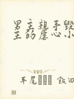 男主亲手毁了女主的虐心小说