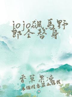 jojo飙马野郎全替身