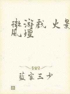 微游戏 火影疾风坛