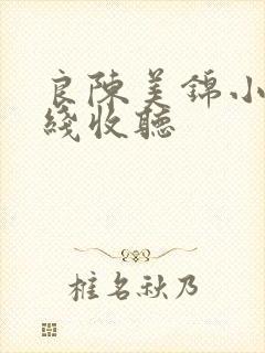 良陈美锦小说在线收听