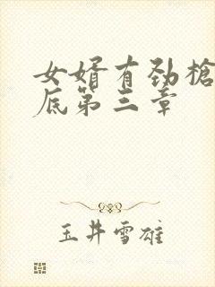 女婿有劲枪枪到底第三章