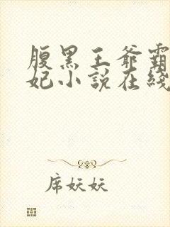 腹黑王爷霸道王妃小说在线看