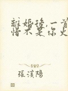 离婚后,一首可惜不是你火爆全网免费看